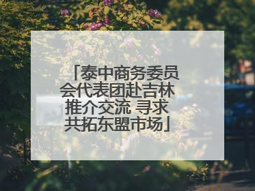 泰中商务委员会代表团赴吉林推介交流 寻求共拓东盟市场