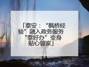 泰安：“枫桥经验”融入政务服务 “泰好办”变身贴心管家