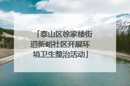 泰山区徐家楼街道新峪社区开展环境卫生整治活动