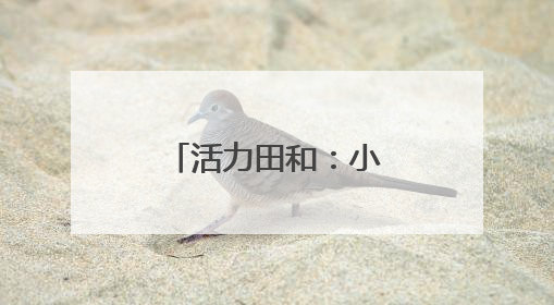 活力田和：小精特赛事激活基层治理新引擎