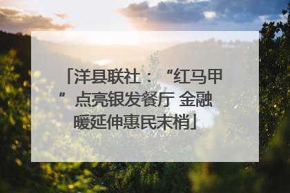洋县联社：“红马甲”点亮银发餐厅 金融暖延伸惠民末梢