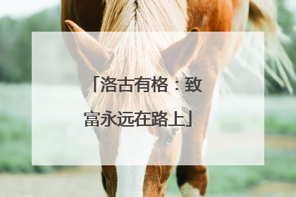 洛古有格：致富永远在路上