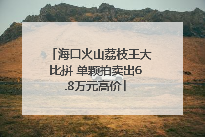 海口火山荔枝王大比拼 单颗拍卖出6.8万元高价
