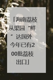 海南荔枝从果园“鲜”达国外 今年已有200批荔枝出口