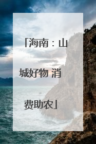 海南：山城好物 消费助农