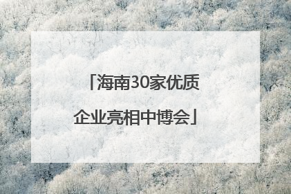 海南30家优质企业亮相中博会