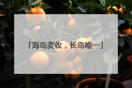 海岛麦收，长岛唯一