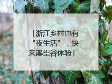 浙江乡村也有“夜生活”，快来溪望谷体验