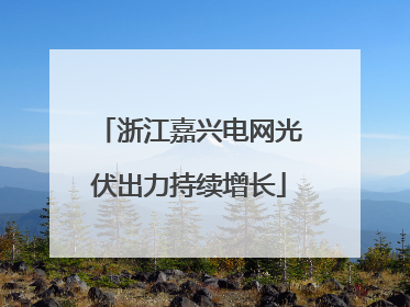 浙江嘉兴电网光伏出力持续增长