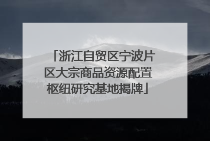 浙江自贸区宁波片区大宗商品资源配置枢纽研究基地揭牌