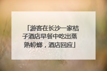 游客在长沙一家桔子酒店早餐中吃出蒸熟蟑螂，酒店回应