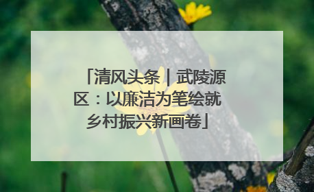 清风头条｜武陵源区：以廉洁为笔绘就乡村振兴新画卷