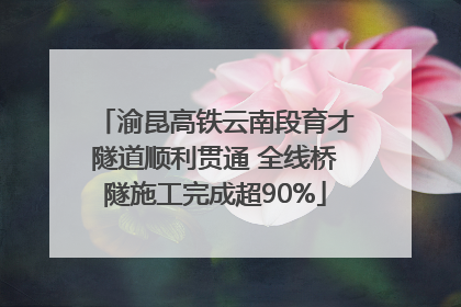 渝昆高铁云南段育才隧道顺利贯通 全线桥隧施工完成超90%
