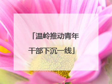 温岭推动青年干部下沉一线