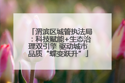 渭滨区城管执法局：科技赋能+生态治理双引擎 驱动城市品质“蝶变跃升”