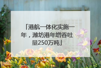 港航一体化实施一年，潍坊港年增吞吐量250万吨