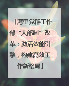 湾里党群工作部“大部制”改革：激活效能引擎，构建高效工作新格局