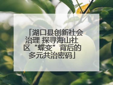 湖口县创新社会治理 探寻海山社区“蝶变”背后的多元共治密码