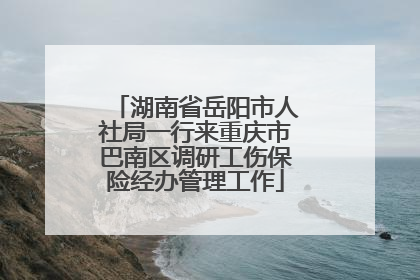 湖南省岳阳市人社局一行来重庆市巴南区调研工伤保险经办管理工作