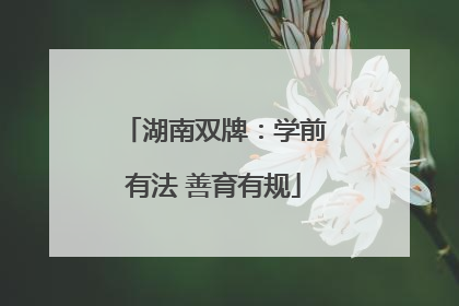 湖南双牌：学前有法 善育有规
