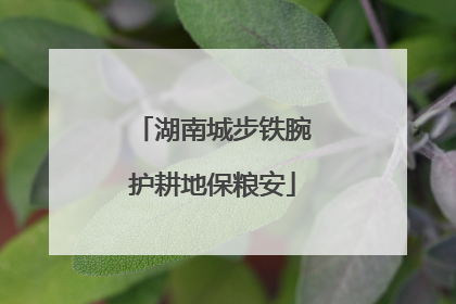湖南城步铁腕护耕地保粮安