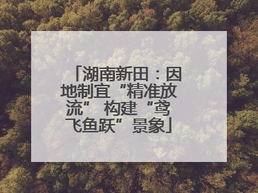 湖南新田：因地制宜“精准放流” 构建“鸢飞鱼跃”景象