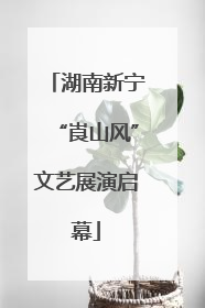 湖南新宁“崀山风”文艺展演启幕