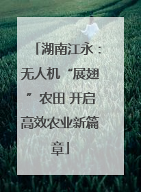 湖南江永：无人机“展翅”农田 开启高效农业新篇章