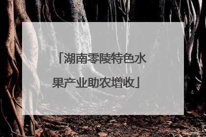 湖南零陵特色水果产业助农增收