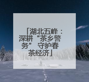 湖北五峰：深耕“茶乡警务” 守护春茶经济