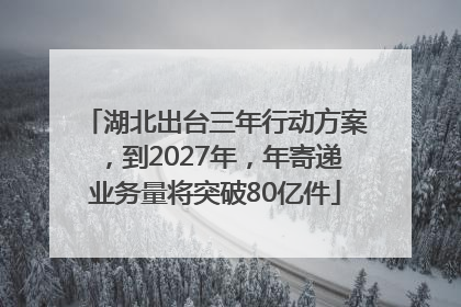 湖北出台三年行动方案，到2027年，年寄递业务量将突破80亿件