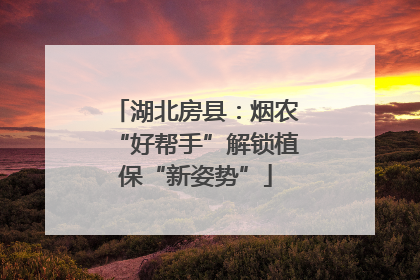 湖北房县：烟农“好帮手”解锁植保“新姿势”
