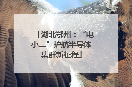 湖北鄂州：“电小二”护航半导体集群新征程