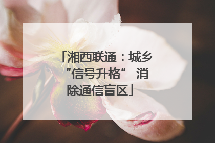 湘西联通：城乡“信号升格” 消除通信盲区