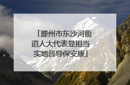 滕州市东沙河街道人大代表显担当实地督导保安康