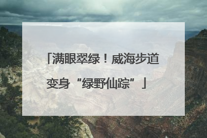 满眼翠绿！威海步道变身“绿野仙踪”