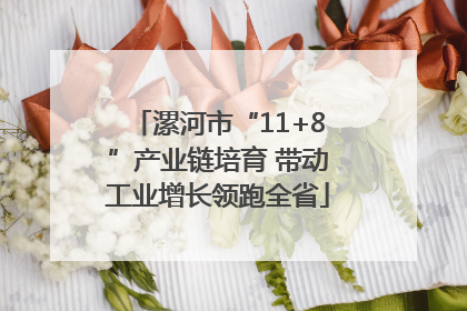 漯河市“11+8”产业链培育 带动工业增长领跑全省