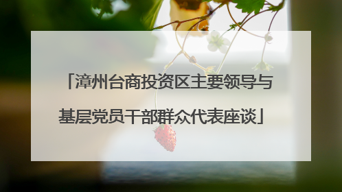 漳州台商投资区主要领导与基层党员干部群众代表座谈