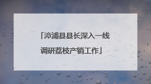 漳浦县县长深入一线调研荔枝产销工作