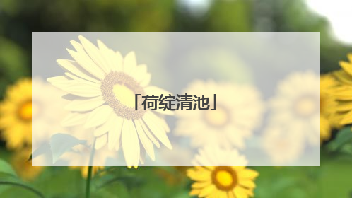 荷绽清池
