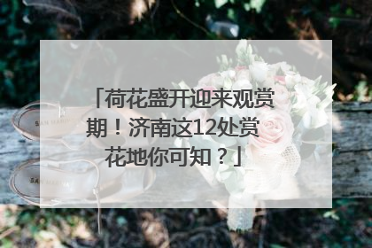 荷花盛开迎来观赏期！济南这12处赏花地你可知？