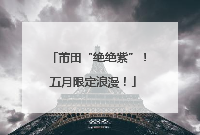 莆田“绝绝紫”！五月限定浪漫！
