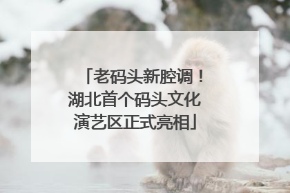 老码头新腔调！湖北首个码头文化演艺区正式亮相