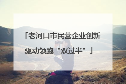 老河口市民营企业创新驱动领跑“双过半”