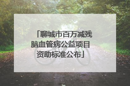 聊城市百万减残脑血管病公益项目资助标准公布