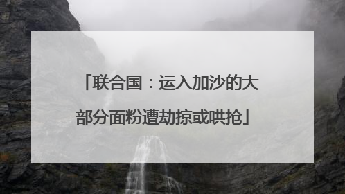 联合国：运入加沙的大部分面粉遭劫掠或哄抢