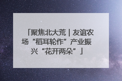 聚焦北大荒｜友谊农场“稻耳轮作”产业振兴“花开两朵”