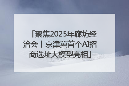 聚焦2025年廊坊经洽会丨京津冀首个AI招商选址大模型亮相