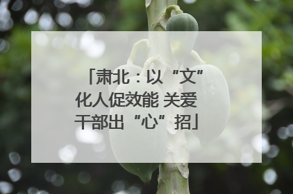 肃北：以“文”化人促效能 关爱干部出“心”招
