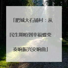 肥城大石铺村：从民生期盼到幸福蝶变奏响振兴交响曲